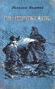 Не открывая лица - Далекий Николай Александрович (читать книги бесплатно .txt) 📗