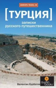 Турция. Записки русского путешественника - Курбатов Валентин Яковлевич (серии книг читать онлайн бесплатно полностью .txt) 📗