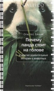 Почему панда стоит на голове и другие удивительные истории о животных - Браун Огастес (книги бесплатно полные версии TXT) 📗