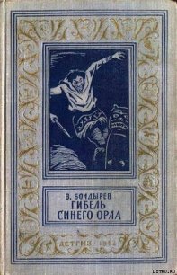 Гибель синего орла - Болдырев Виктор Николаевич (бесплатные версии книг txt) 📗