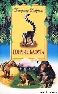 Гончие Бафута - Даррелл Джеральд (бесплатные онлайн книги читаем полные .TXT) 📗