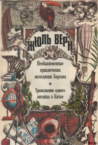 Треволнения одного китайца в Китае - Верн Жюль Габриэль (читаем книги онлайн txt) 📗