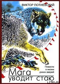 Мага уводит стаю - Потиевский Виктор Александрович (серии книг читать онлайн бесплатно полностью .txt) 📗