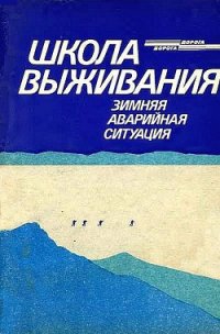 Школа выживания. Зимняя аварийная ситуация - Ильичев Андрей (книги полные версии бесплатно без регистрации txt) 📗