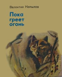 Пока греет огонь - Копылов Валентин Миронович (полная версия книги txt) 📗