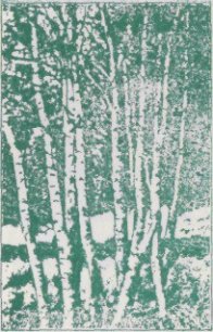 Зеленая книга леса - Семаго Леонид Леонидович (читать онлайн полную книгу txt) 📗