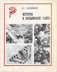 Встречи в Колымской тайге - Олефир Станислав Михайлович (список книг txt) 📗