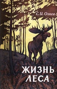 Жизнь леса - Огнев Сергей Иванович (хороший книги онлайн бесплатно TXT) 📗