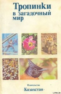 Тропинки в загадочный мир [с иллюстрациями] - Ковшарь А. Ф. (читать книги бесплатно полные версии txt) 📗