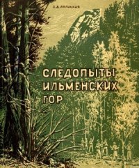 Следопыты Ильменских гор - Лялицкая Софья Дмитриевна (читаем книги онлайн бесплатно без регистрации TXT) 📗