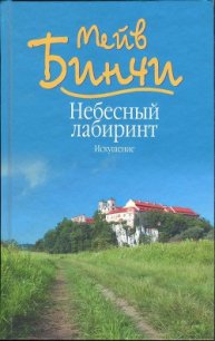 Небесный лабиринт. Искушение - Бинчи Мейв (читать полную версию книги .txt) 📗