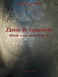 Два в одном (СИ) - Лисецкий Юрий (читаемые книги читать онлайн бесплатно полные TXT) 📗