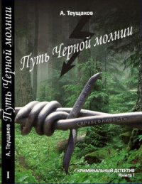 Путь «Чёрной молнии» - Теущаков Александр Александрович (книги читать бесплатно без регистрации .TXT) 📗