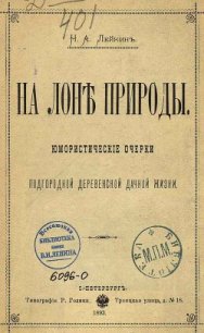 В деревенской лавке - Лейкин Николай Александрович (бесплатные онлайн книги читаем полные версии .txt) 📗