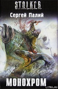 Монохром - Палий Сергей Викторович (книги без регистрации бесплатно полностью сокращений .TXT) 📗