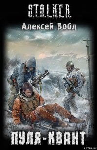 Пуля-Квант - Бобл Алексей (читать книгу онлайн бесплатно без TXT) 📗