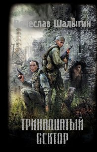 Тринадцатый сектор - Шалыгин Вячеслав Владимирович (лучшие книги читать онлайн .txt) 📗