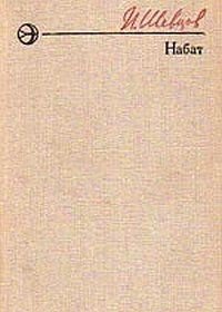 Набат - Шевцов Иван Михайлович (полная версия книги .TXT) 📗