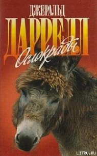 Ослокрады (с иллюстрациями) - Даррелл Джеральд (книги онлайн читать бесплатно TXT) 📗