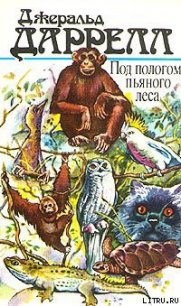 Под пологом пьяного леса - Даррелл Джеральд (книги онлайн .TXT) 📗