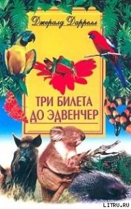 Три билета до Эдвенчер - Даррелл Джеральд (читать книги бесплатно полностью без регистрации сокращений TXT) 📗