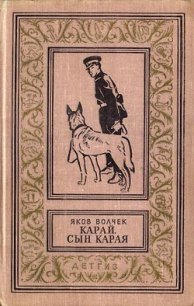 Карай. Сын Карая - Волчек Яков Исаакович (книги онлайн полные версии бесплатно .txt) 📗