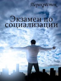Экзамен по социализации (СИ) - Алексеева Оксана (бесплатные книги полный формат txt) 📗