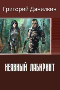 Неявный лабиринт (СИ) - Данилкин Григорий Владимирович (читать книги онлайн без .txt) 📗