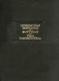 Тиль Уленшпигель - Средневековая литература (лучшие книги без регистрации TXT) 📗