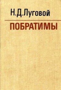 Побратимы (Партизанская быль) - Луговой Николай Дмитриевич (онлайн книги бесплатно полные TXT) 📗