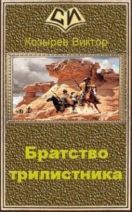 Братство Трилистника (СИ) - Козырев Виктор Алексеевич (книги без регистрации бесплатно полностью txt) 📗