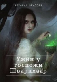 Ужин у госпожи Шварцхаар (СИ) - Комаров Виталий (книги без регистрации бесплатно полностью TXT) 📗