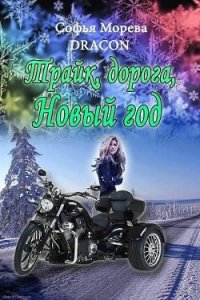 Трайк, дорога, Новый Год (СИ) - Морева Софья "Dracon" (мир книг .TXT) 📗