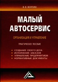 Малый автосервис: Практическое пособие - Волгин Владислав Васильевич (читаем книги онлайн бесплатно .txt) 📗