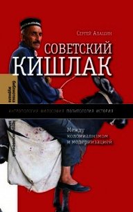 Советский кишлак. Между колониализмом и модернизацией - Абашин Сергей (читать книги TXT) 📗