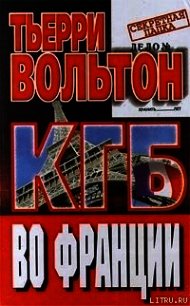 КГБ во Франции - Вольтон Тьерри (книги онлайн полные версии txt) 📗