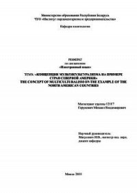 Концепция мультикультурализма на примере стран Северной Америки - Горунович Михаил Владимирович (читать хорошую книгу .txt) 📗