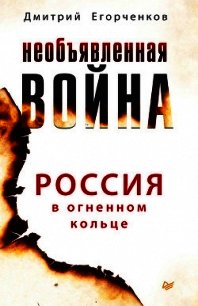 Необъявленная война. Россия в огненном кольце - Егорченков Дмитрий (читать полностью бесплатно хорошие книги .TXT) 📗