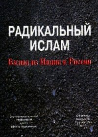 Радикальный ислам. Взгляд из Индии и России - Кургинян Сергей Ервандович (книги без регистрации txt) 📗