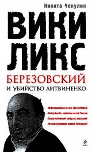 «ВикиЛикс», Березовский и убийство Литвиненко. Документальное расследование - Чекулин Никита Сергеевич