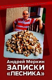 Записки «лесника» - Меркин Андрей (чтение книг TXT) 📗