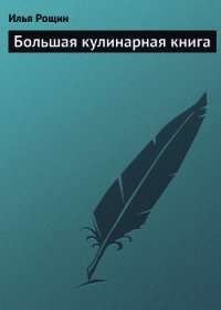 Большая кулинарная книга - Рощин Илья (читаемые книги читать онлайн бесплатно txt) 📗