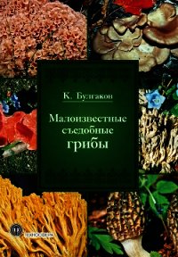 Малоизвестные съедобные грибы - Булгаков Касим Галиевич (книги онлайн без регистрации полностью TXT) 📗