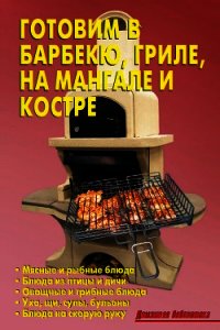 Готовим в барбекю, гриле, на мангале и костре - Кожемякин Р. Н. (читать книги онлайн бесплатно полностью без сокращений txt) 📗