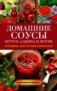 Домашние соусы. Кетчуп, аджика и другие - Доброва Елена Владимировна (электронные книги без регистрации txt) 📗