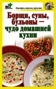 Борщи, супы, бульоны – чудо домашней кухни - Костина Дарья (электронные книги без регистрации txt) 📗