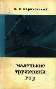 Маленькие труженики гор - Мариковский Павел Иустинович (книги регистрация онлайн TXT) 📗