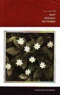 Мир лесных растений - Петров Владимир Владимирович (хорошие книги бесплатные полностью .TXT) 📗