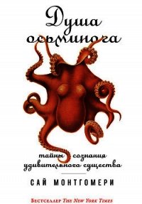 Душа осьминога: Тайны сознания удивительного существа - Монтгомери Сай (книги онлайн бесплатно без регистрации полностью .txt) 📗