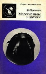 Морские львы и котики - Мужчинкин Вадим Федорович (читать книги без регистрации полные .txt) 📗